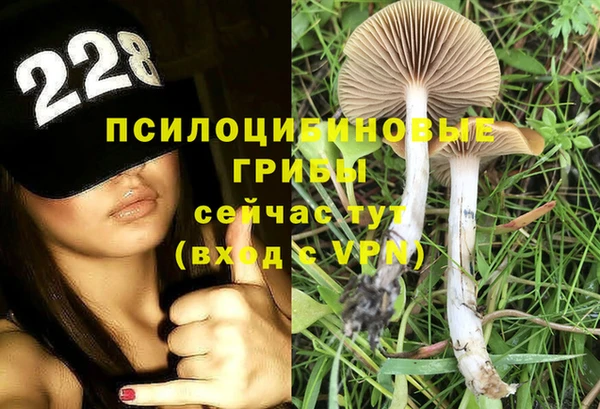 2c-b Белокуриха