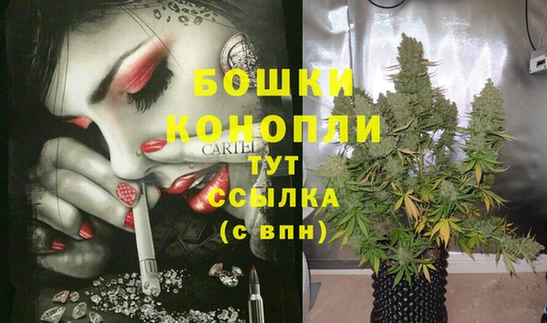 2c-b Белокуриха