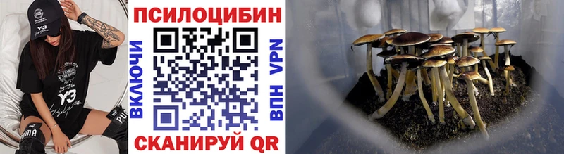 купить  сайты  Бородино  Галлюциногенные грибы Magic Shrooms 